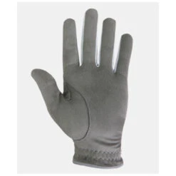 Footjoy New RainGrip Pair Gloves -Lightning Golf Shop FTJ1298c